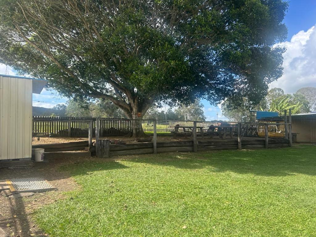 Gundy Pub & Caravan Park Gundiah Екстериор снимка